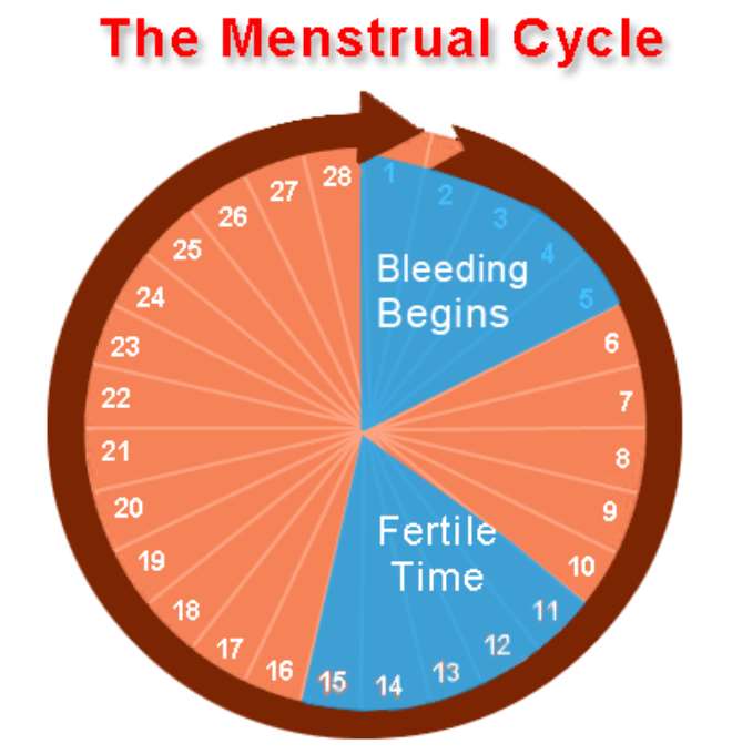 How Do I Get Pregnant With Irregular Menses tyga get kylie pregnant