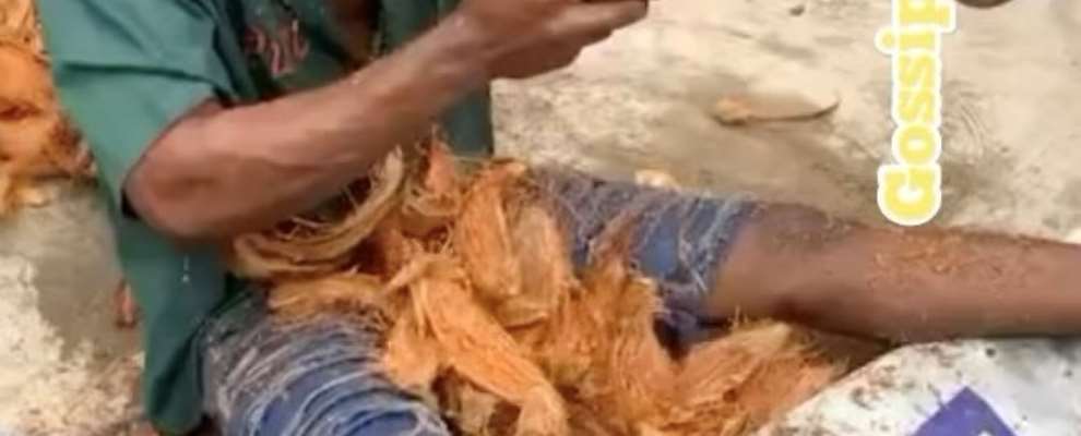 A Nigerian Is On The Verge Of Breaking Guinness Records; He Peels Over 50 Coconut With Ordinary Teeth 