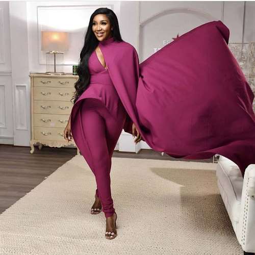 idia aisien