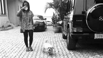 photo